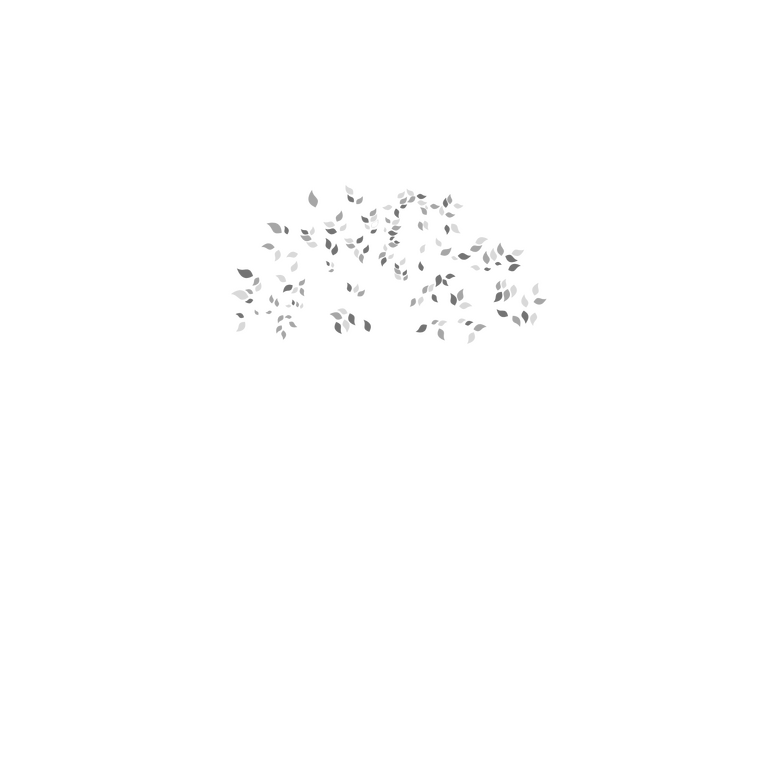 Rainforest Legacy Foundation
